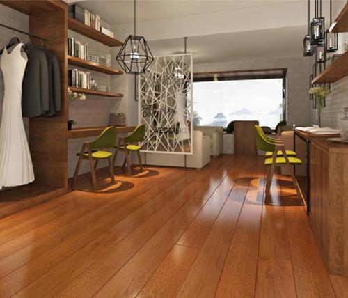 番龍眼1.jpg 番龍眼1.jpg